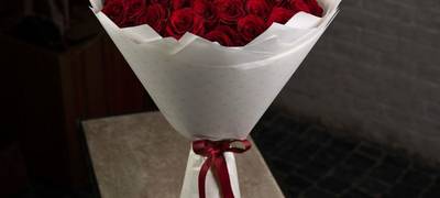 صورة العقار